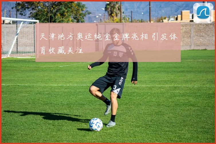 天津地方奥运纯金金牌亮相 引发体育收藏关注