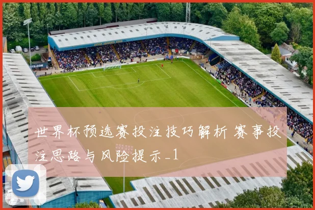 世界杯预选赛投注技巧解析 赛事投注思路与风险提示_1